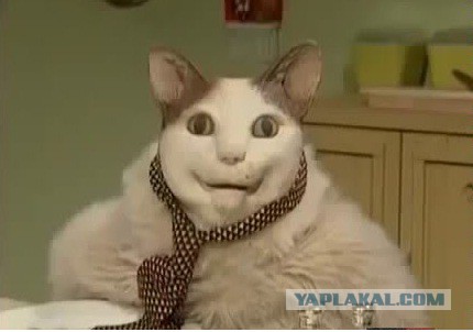 Ожидания страховщиков от реформы ОСАГО за полгода не оправдались