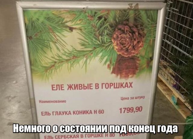 Смешные комментарии и картинки на новогоднюю и околоновогоднюю тематику. Часть 2