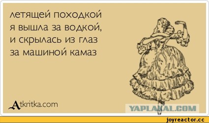 Мне не жалко алкашей