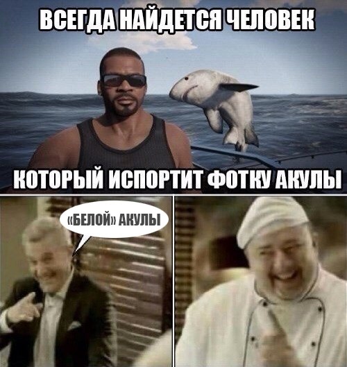 Тупик эволюции