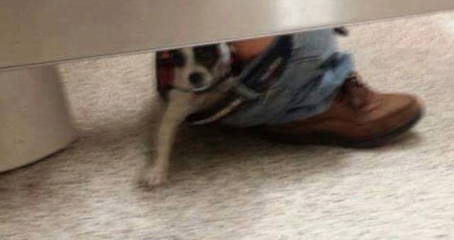 Да что тут вообще происходит?
