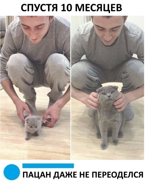 Улыбки ради