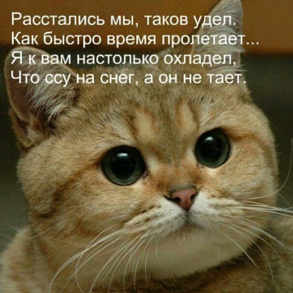 Здорово и вечно
