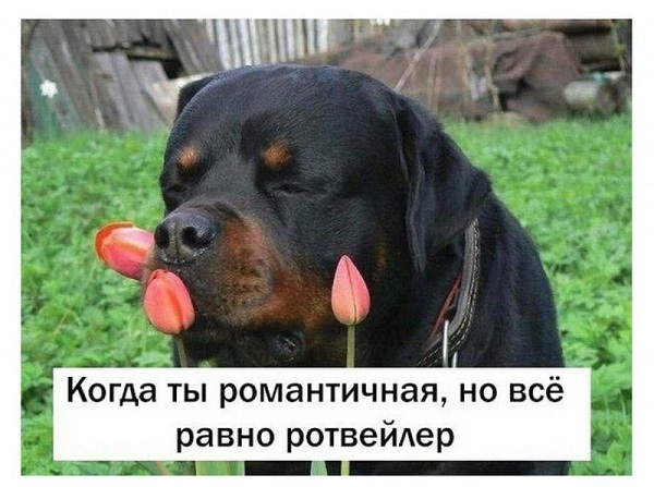 Чаёк с тортиком