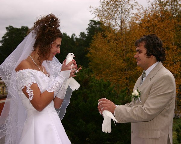 Свадьба и прочий конфуз торжественного мероприятия
