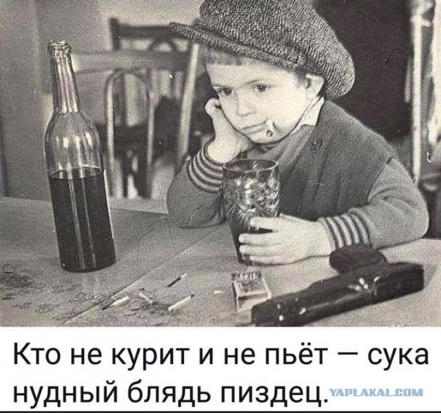 Смешные комментарии из социальных сетей 20.09.2019