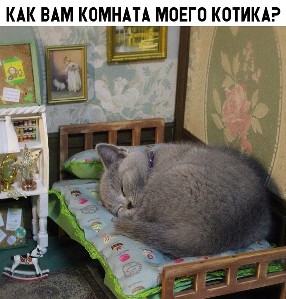 Разные и без темы