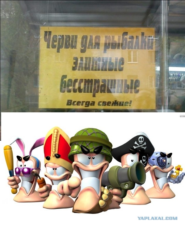 Перлы 04.11.19