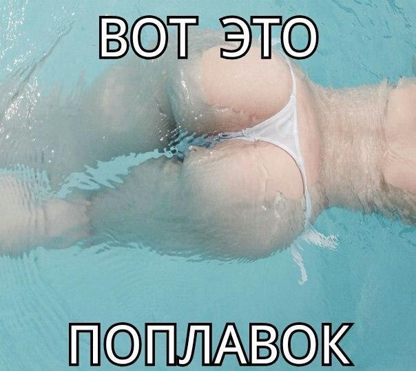 Это вам не инстаграмм (ноябрь)