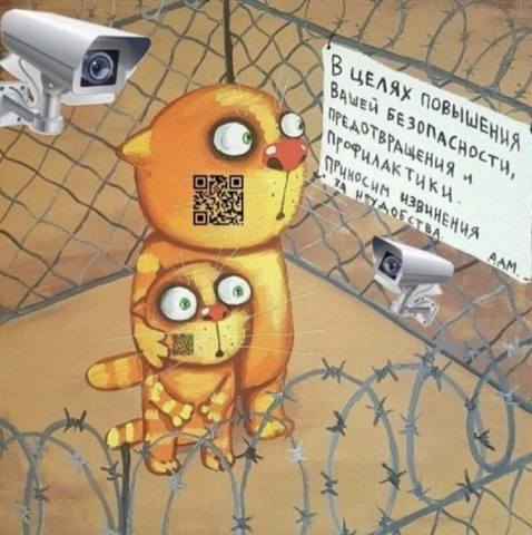 Россиянам посоветовали носить с собой документы на жилье во время самоизоляции