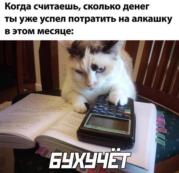 Немного картинок для настроения 30.06.20