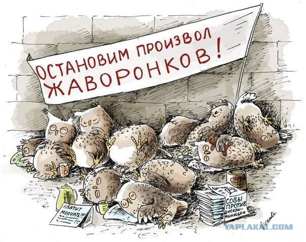 О жадных мужчинах. Или умных? (Немного мата)
