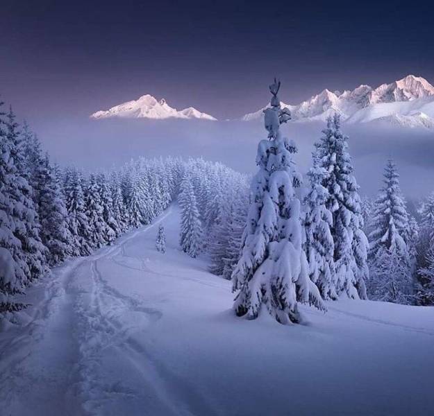 Давно не было солянки из картинок