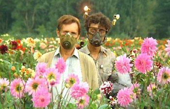 Ложь в сюжете «Первого канала»