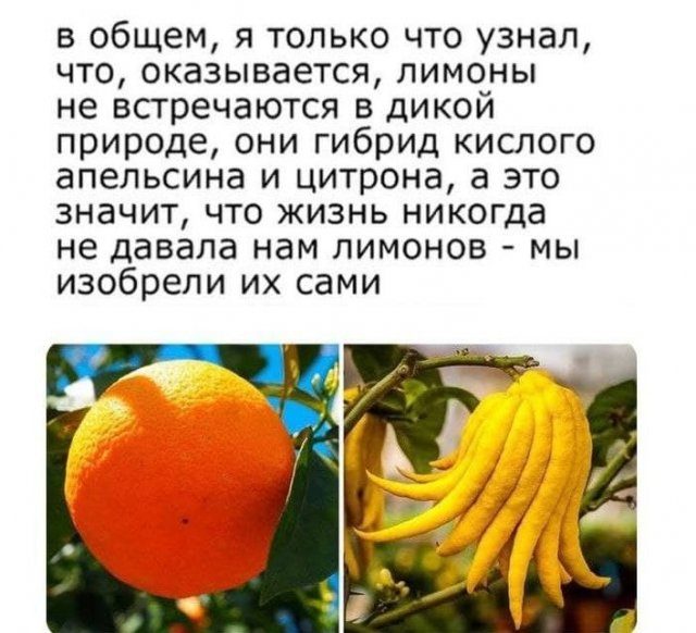 Картинки на вчера