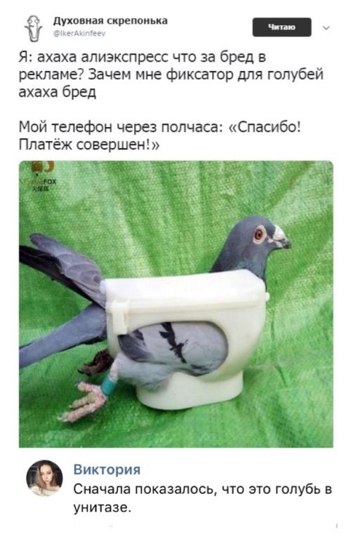 Весёлый полтишок 6.06
