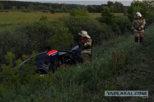 Молодожены идут на таран. ДТП в Новокуйбышевске