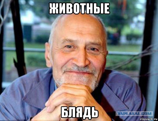 Хотел узнать свежие новости, но вспомнил, что не умеет читать
