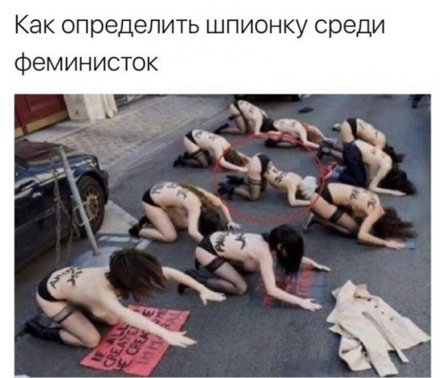 Весёлый полтишок 27.10