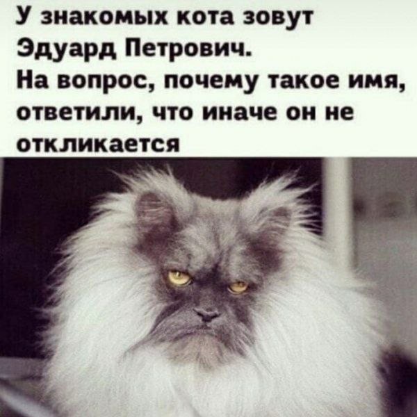 Картинки для настроения