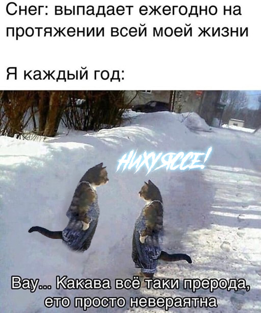 Баянисто-небаянистый юмор 23.12.21