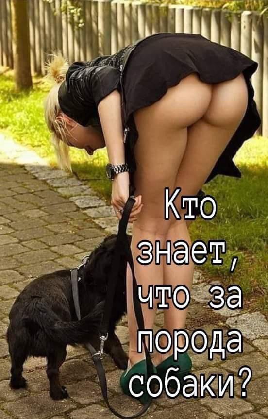 Так себе картинки 11.02.22