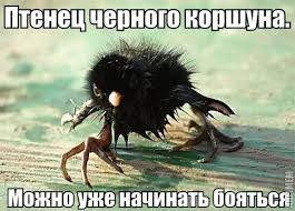 50 оттенков серого Vol.5 . Или самосвал баянов