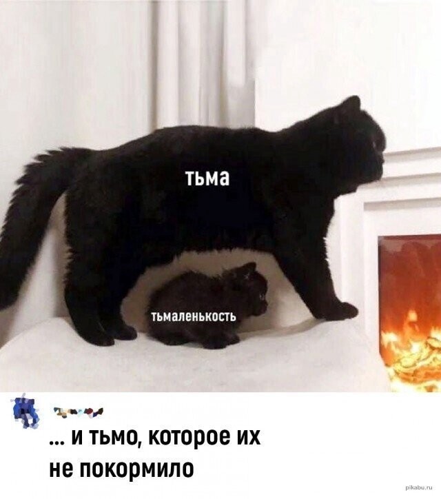 Немного плоского юмора на пятницу