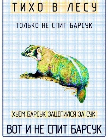 50 оттенков серого или самосвал баянов. Vol. 18. 50 штук.