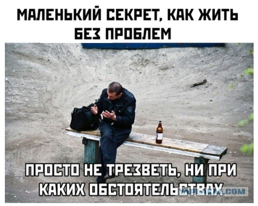 Отвлечься от дичи в жизни. Дичь в картинках