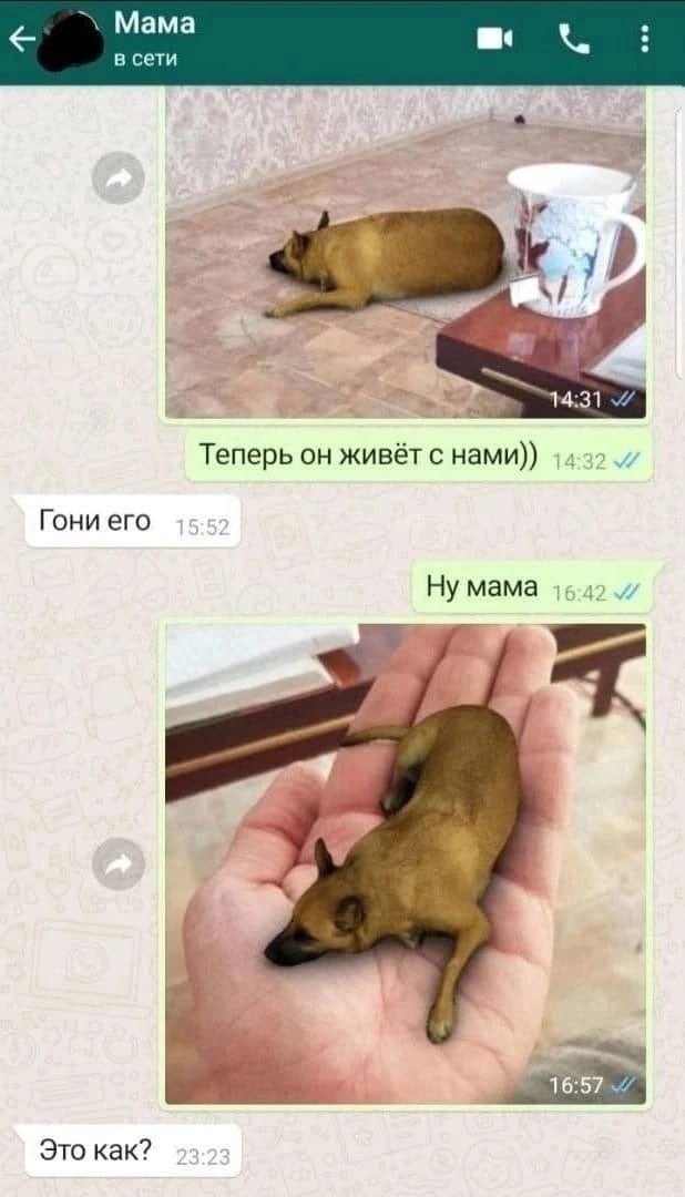 Переписки