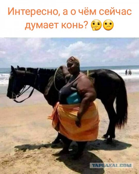 Шериф года