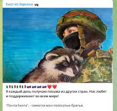 Енот из Херсона заговорил после получения российского паспорта