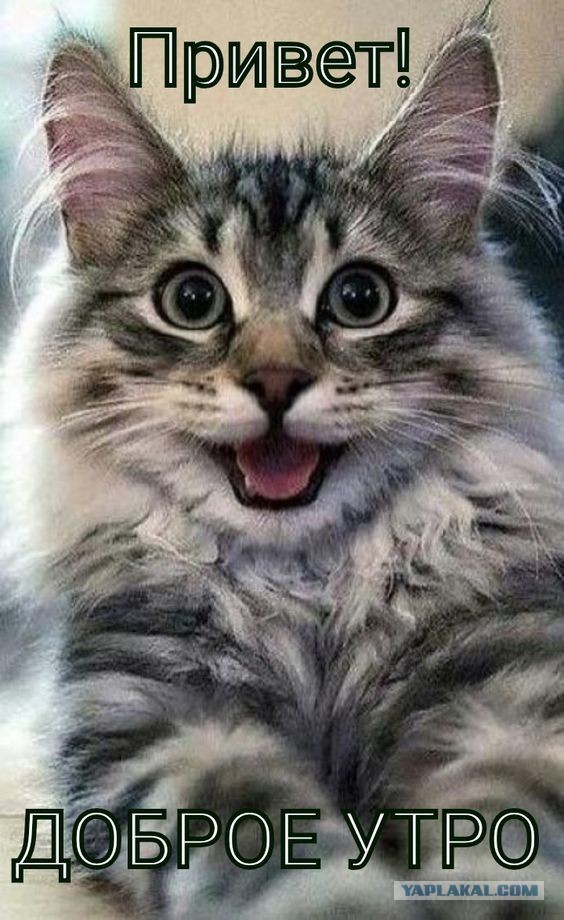 Прикольные и просто красивые картинки 21.02.2023