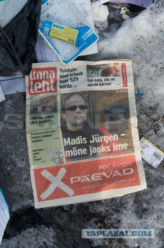 Все, что вы хотели знать об Эстонии...