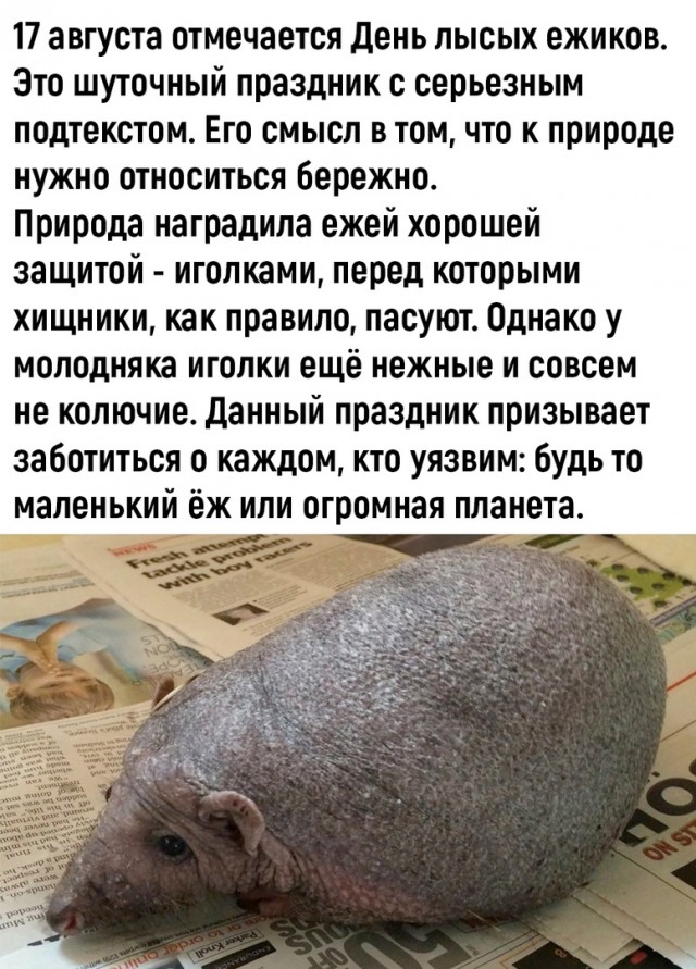 Так себе картинки 17.08.23