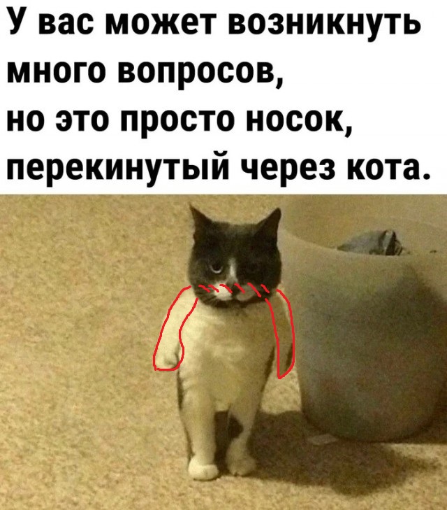 Показалось...