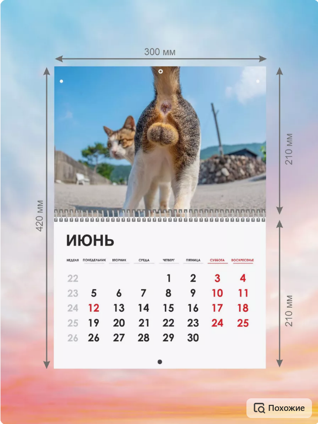 Календарь настенный перекидной 2024 какающие коты - ЯПлакалъ