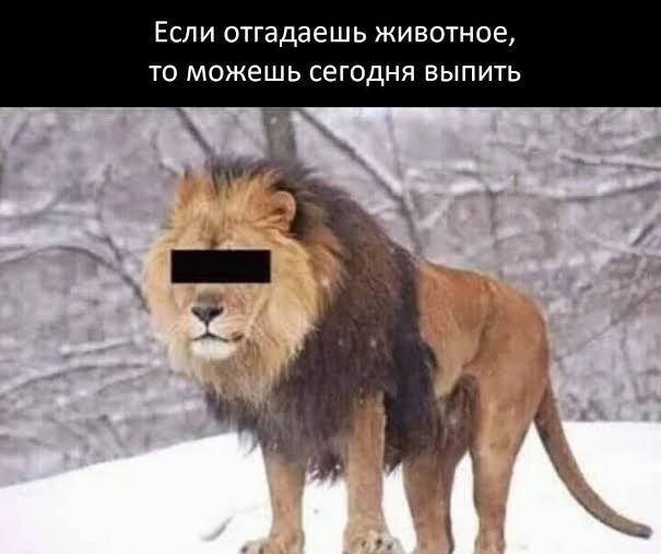 Фокусники