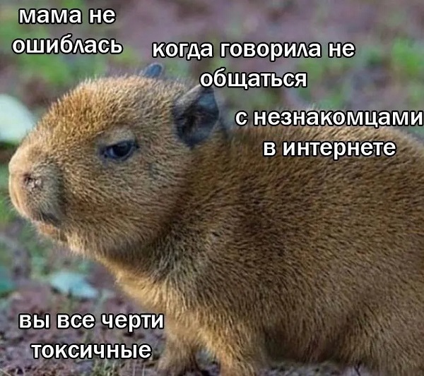 Весёлый полтишок 27.05.24