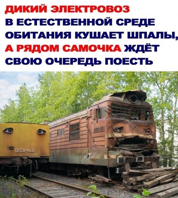 Всего понемногу. От 27.09.24