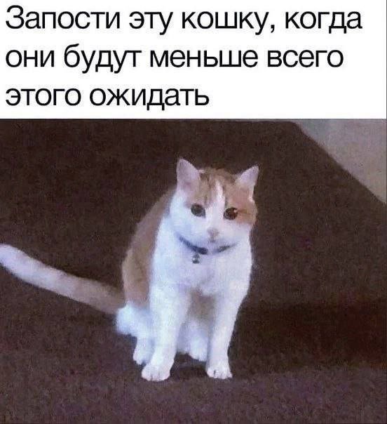 Пятничное. Для определения степени "уравнения"