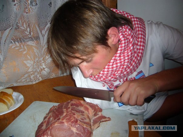 Дикие фото из социальных сетей