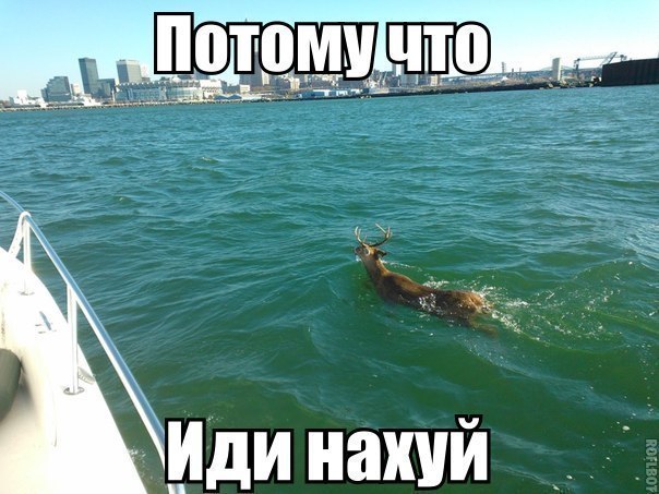 Wargaming 5