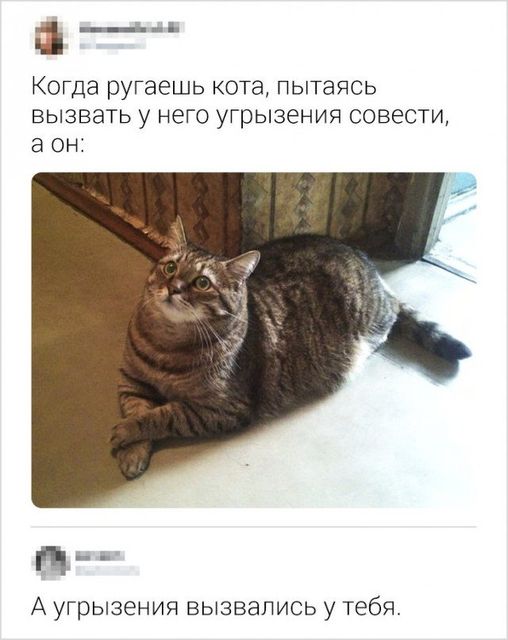 Весёлые картинки 2