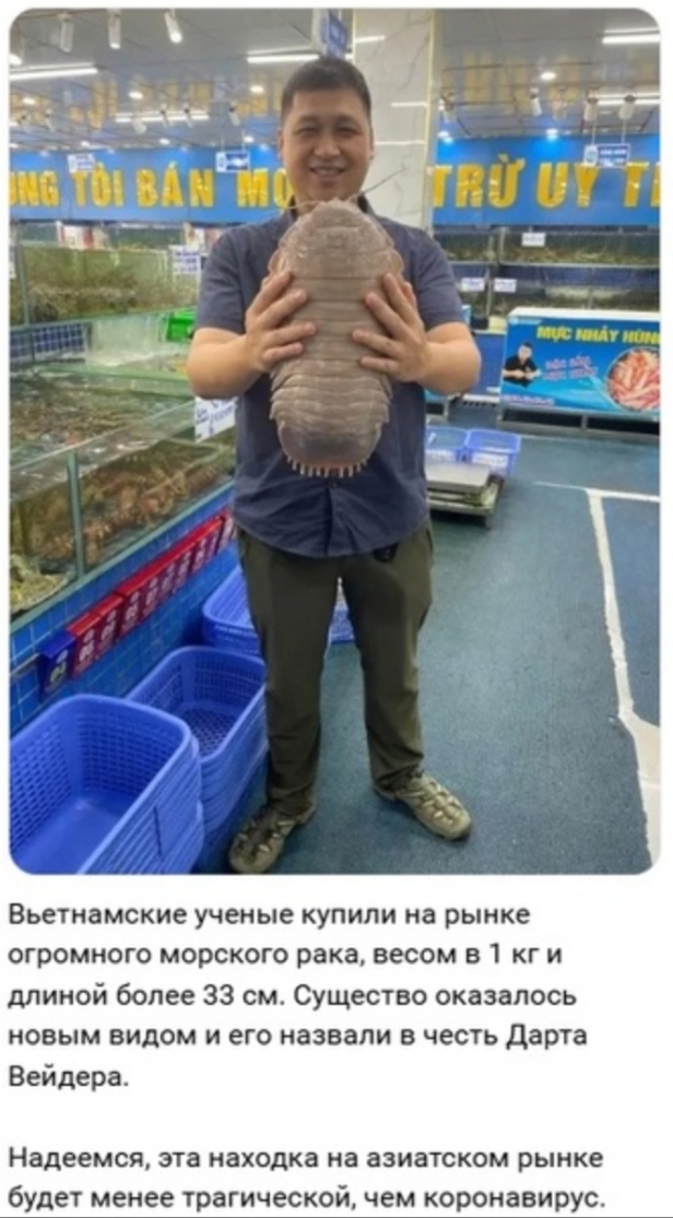 Так себе картинки 08.02.25