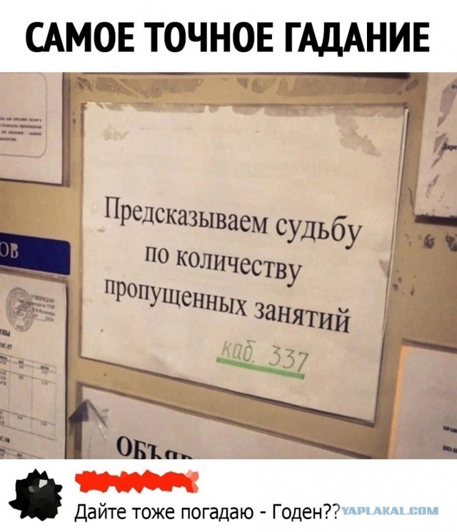 Так себе картинки 28.05.25