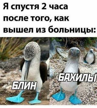 Так себе картинки 22.07.25