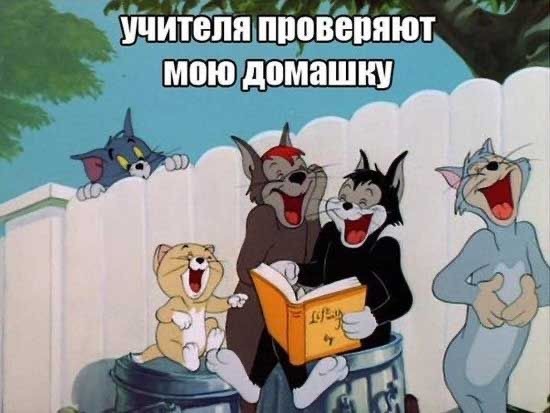 Веселое настроение в картинках 09.08.25