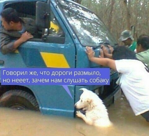 Помощник